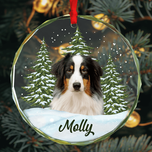 Christmas Gift For Dog Lovers, Cat Lovers, Pet Lovers, Pet Memorial - Custom Photo Personalized Glass Ornament - Pawesome House