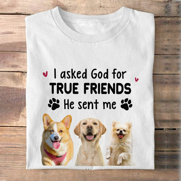 Asked God For A True Friend - Gift For Dog Lovers - Personalized Custom Photo Shirt