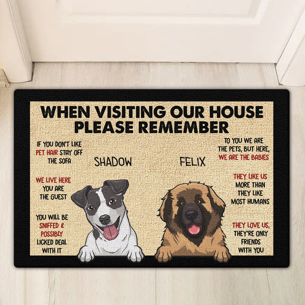 Pets' Rules When Visiting Our House - Funny Cats And Dogs Personalized Custom Doormat